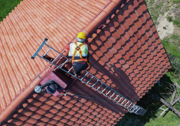 Best Chimney Flashing Repair  in Wilsons Mills, NC